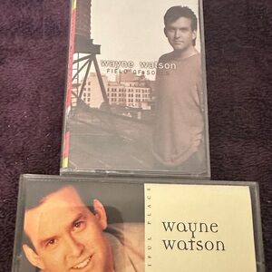 Lot of 2 Wayne Watson rare vintage cassette tapes cassettes 1993 and 1995 music